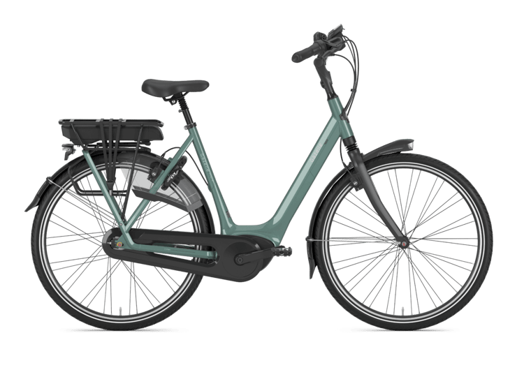 E-Bike Gazelle Orange C8 HMB in Grün mit Gepäckträger, Schutzblech und geschlossenem Kettenkasten.