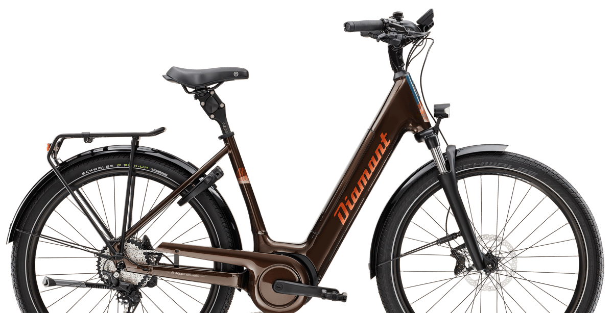 Diamant Leasingbike