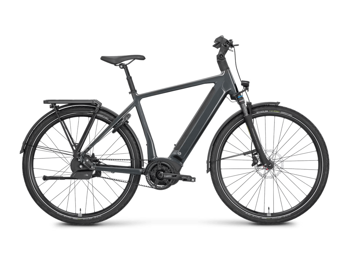 Rose Bikes Xtra Watt plus