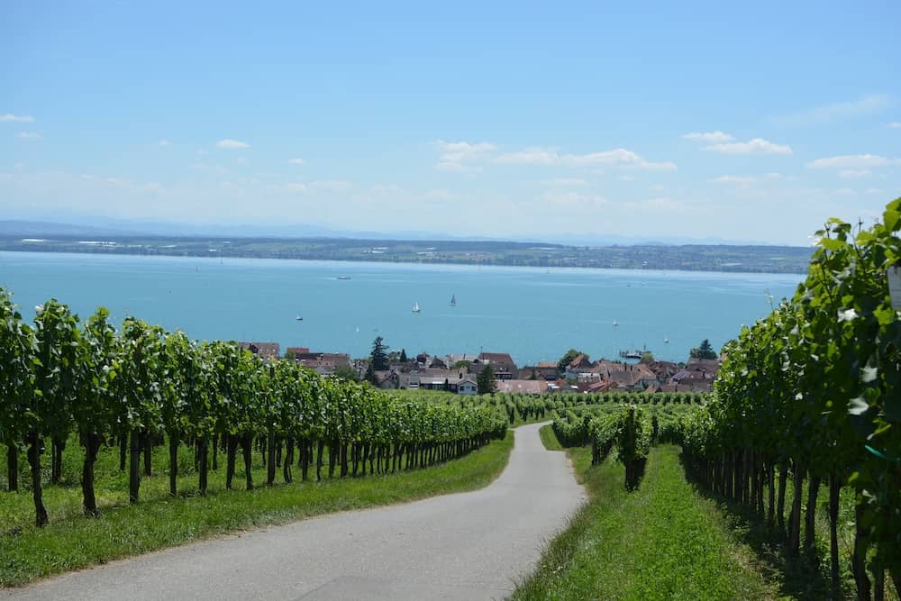 Cycle path with a view of Lake Constance