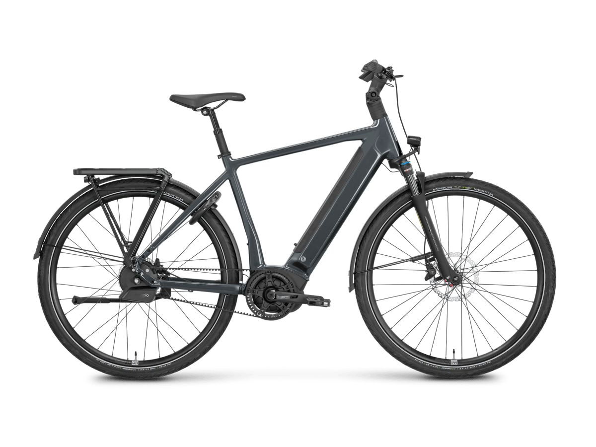 Rose Bikes Xtra Watt Plus 3