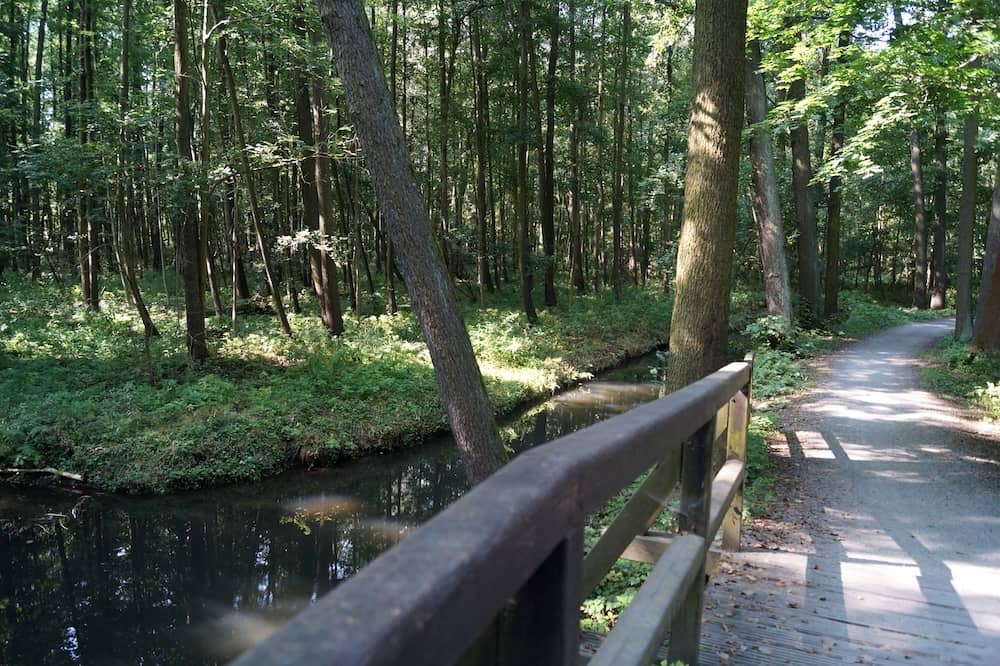 Cycle path in the Spreewald near Lübbenau