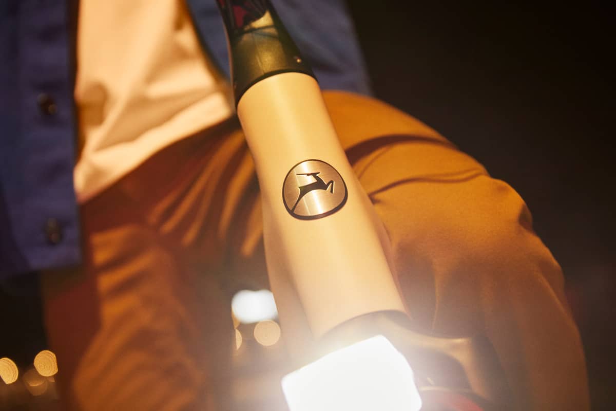 Gazelle Detail picture