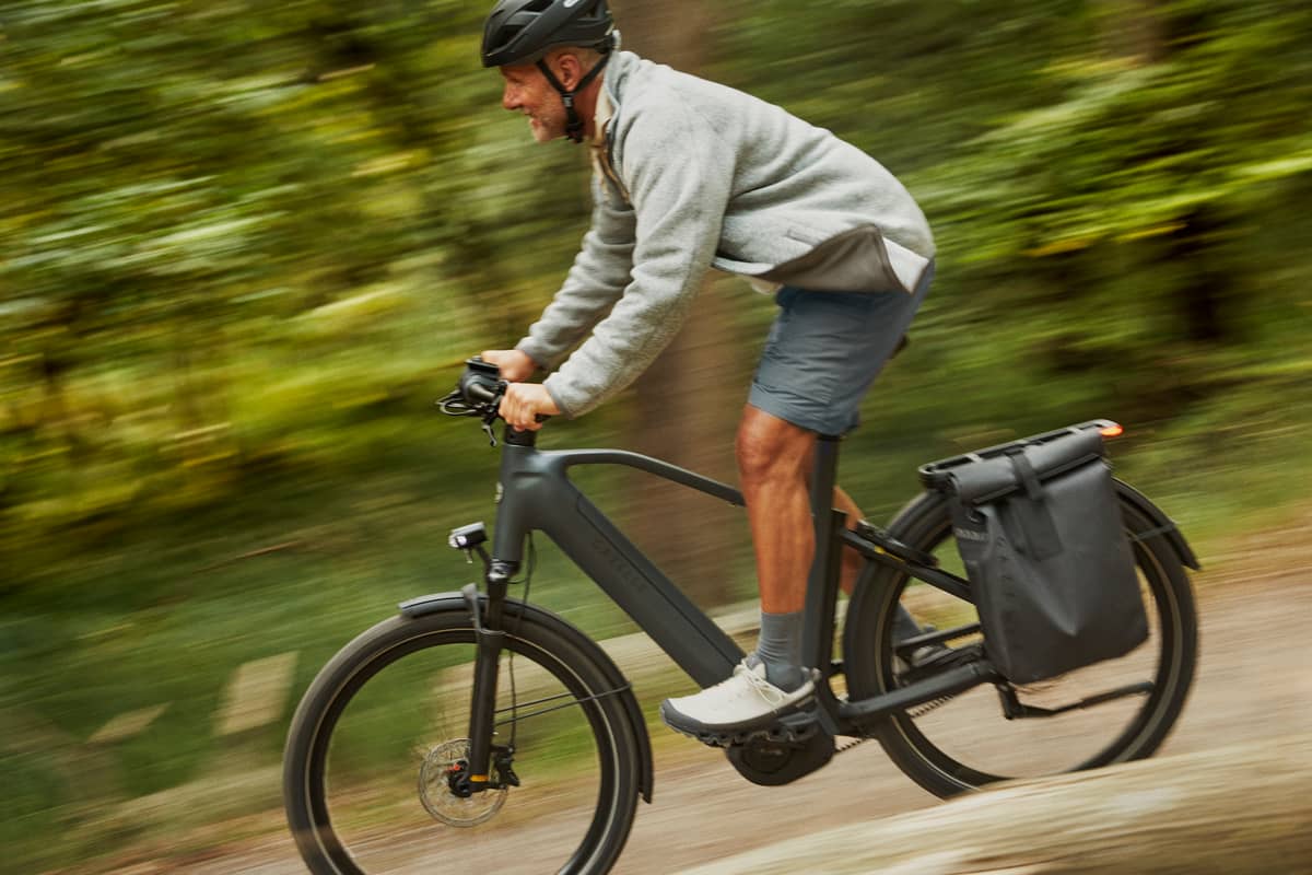 Gazelle Mann Mit Fahrrad Bergab