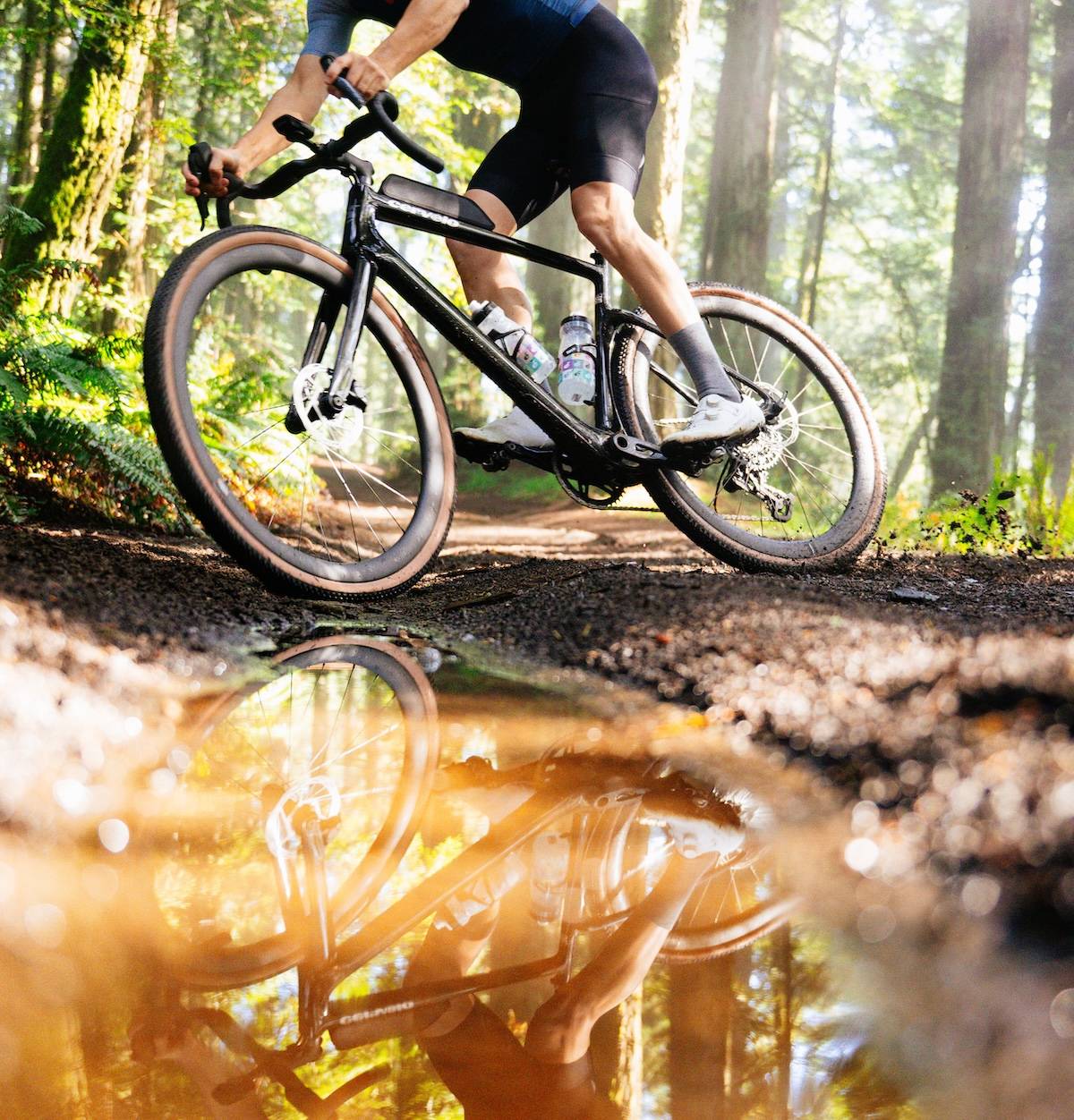 Cervelo Gravelbike Im Wald
