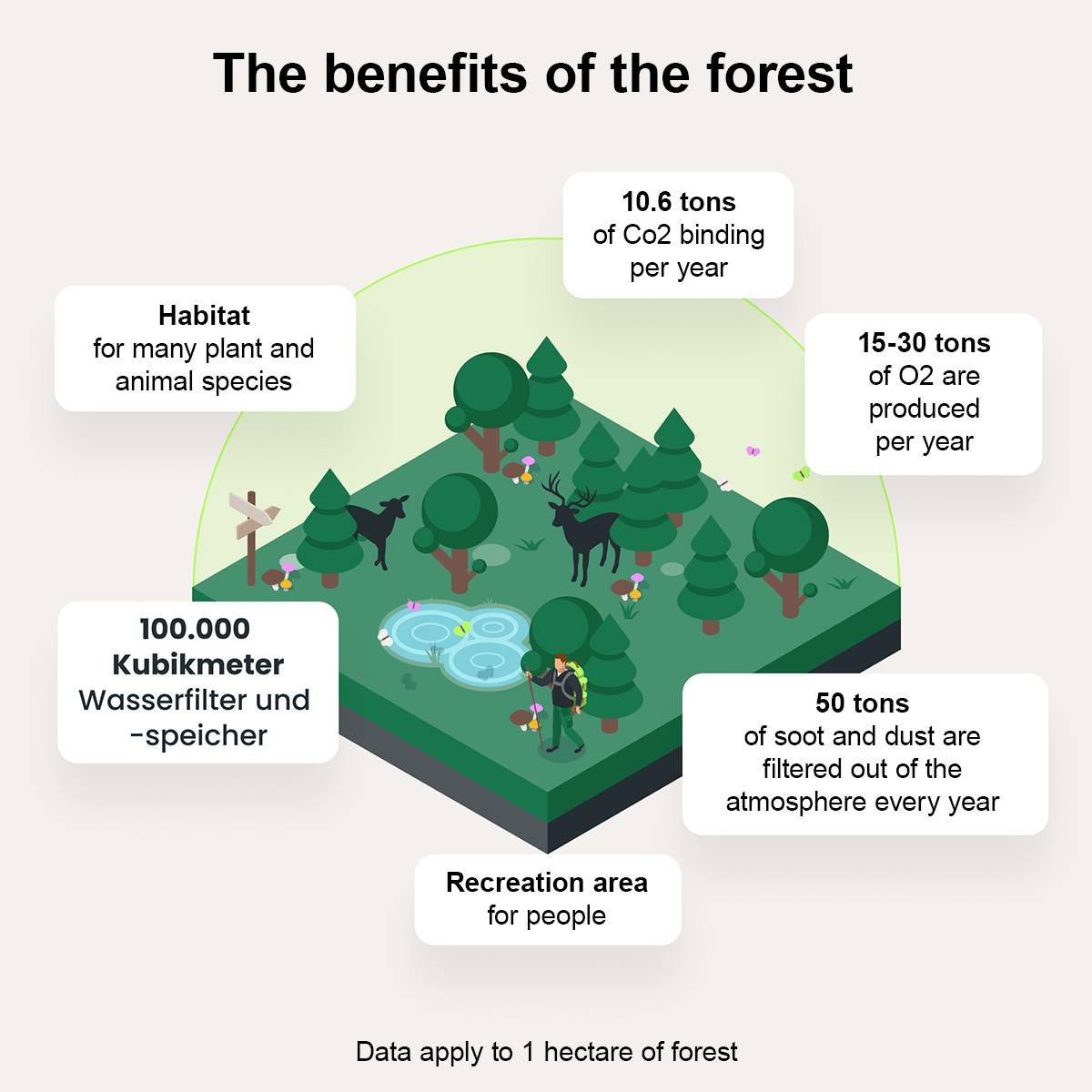 The Benefits Of The Forest