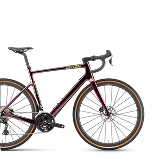 Gravelbike